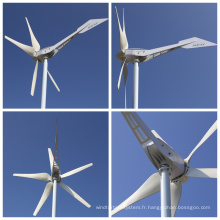 Turbine éolienne Sky Series 800W pour l&#39;usage domestique